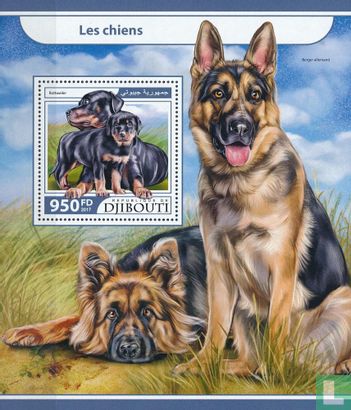 Chiens