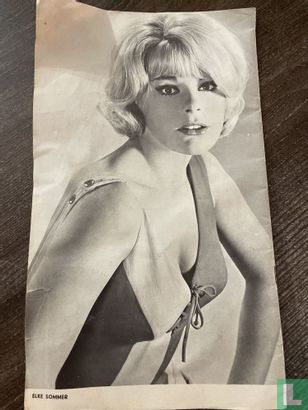 Dandy 37 - Image 2