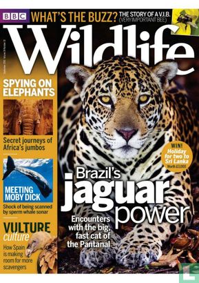 Wildlife 09