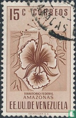 Amazonas
