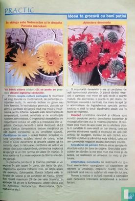 Practic Idei pentru casă 2 - Bild 3
