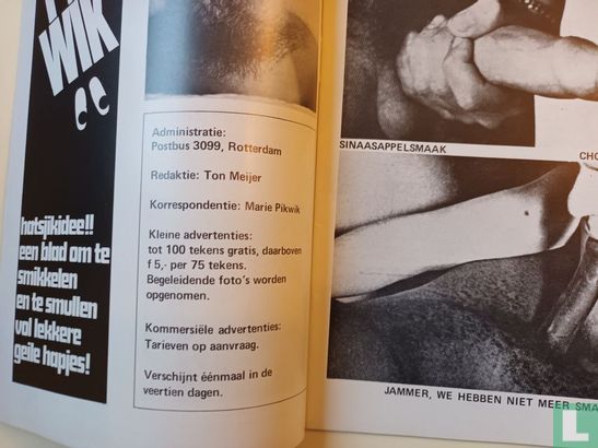 Pikwik 3 - Image 3