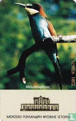 Raven - Bee eater - Bild 2