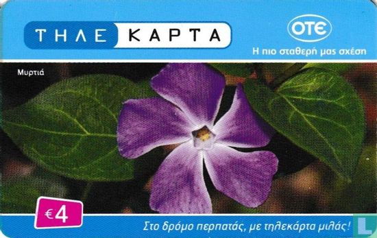 Vinca Major - Image 2