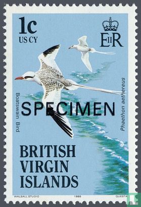 Oiseaux