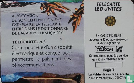 L'Académie française  - Bild 2