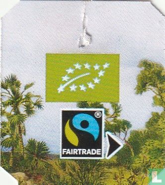 White Chai - Image 4