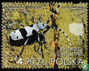 Alpenboktor