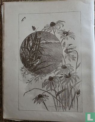 Zonnestraaltjes - Afbeelding 5