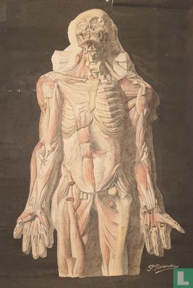 Drawing school study