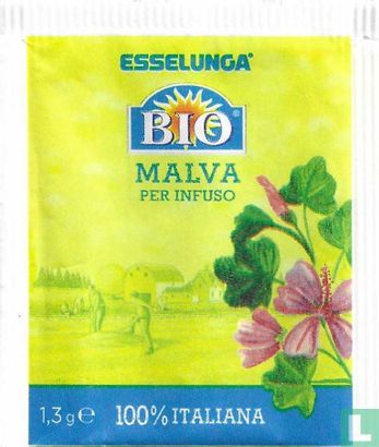 Malva   - Image 1