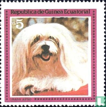 Chien