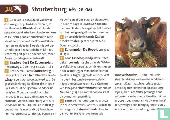 Stoutenburg - Image 1