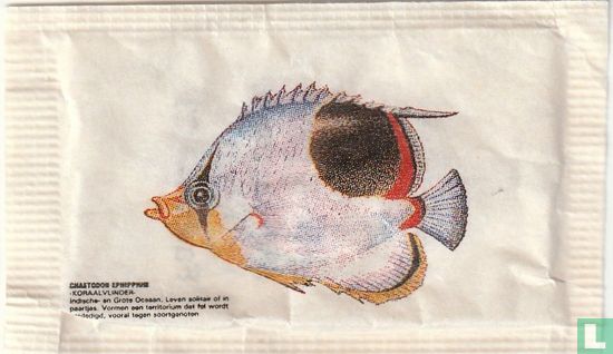 Koraalvlinder - Image 1