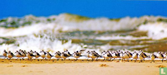Strandlopers - Image 1