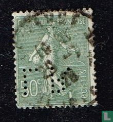 Seedling - Image 1