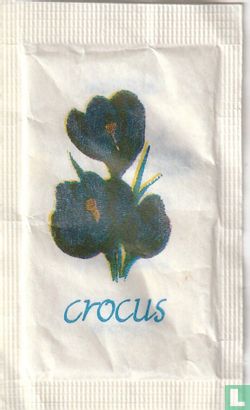 Crocus - Bild 1