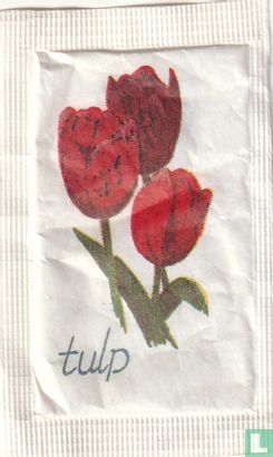 Tulp - Image 1