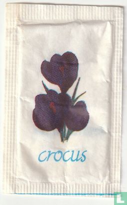 Crocus  - Bild 1