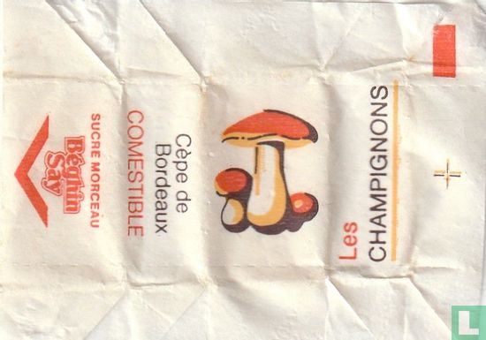 Cèpe de Bordeaux