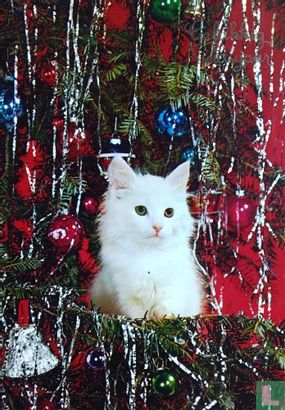 Kat bij kerstboom - Bild 1