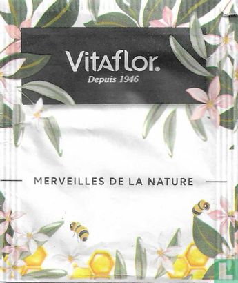 Infusion Verveine - Bild 1