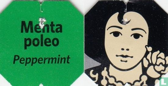 Menta poleo - Image 3