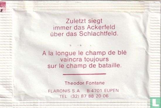 Theodor Fontane - Bild 1