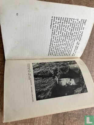 Van velerlei veer - Image 5