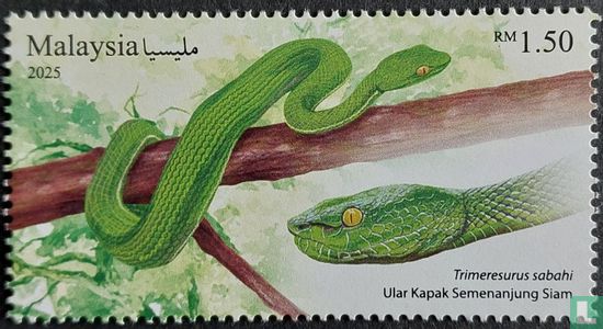 Snakes