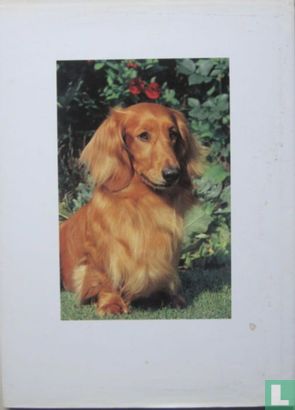 Honden - Afbeelding 2