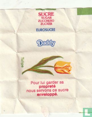 Tulipe