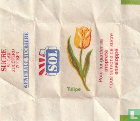 Tulipe - Image 1