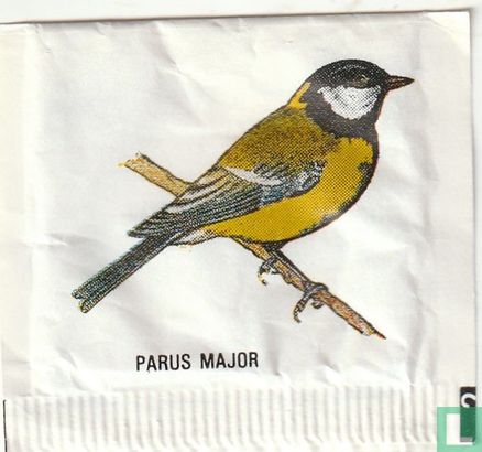 Parus Major (2 R) - Image 1