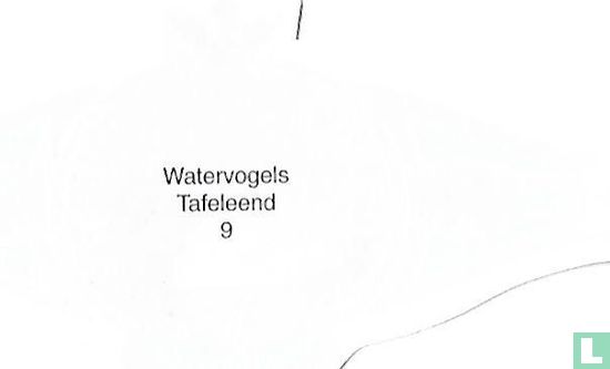 Tafeleend - Image 2