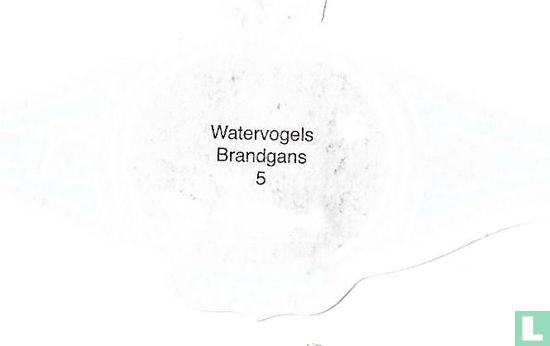 Brandgans - Bild 2