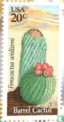 Cactus