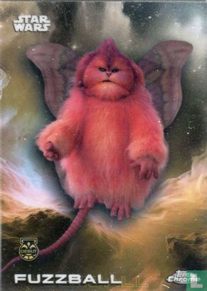 Fuzzball