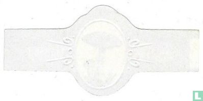 [Armbandzwam] - Bild 2