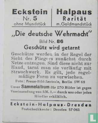 Geschütz wird getarnt - Image 2