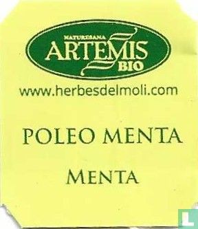 Poleo Menta - Image 1