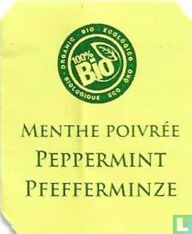 Poleo Menta - Image 2