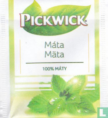 Máta - Bild 1