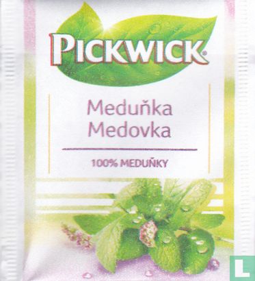 Meduñka - Bild 1