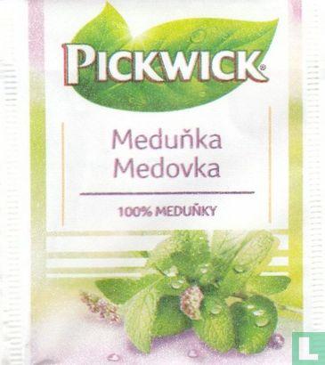 Meduñka - Bild 1
