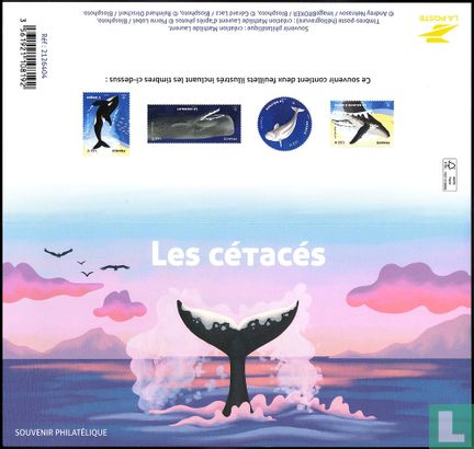 Cetaceans - Image 2