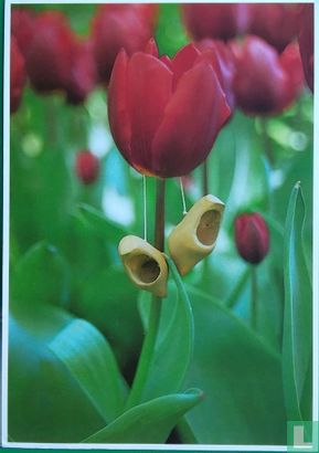 Dutch flowers - Image 1