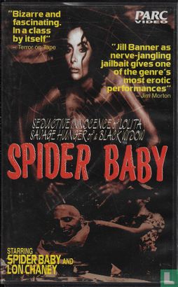 Spider Baby - Image 1