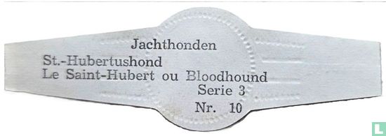 St. - Hubertushond - Bild 2
