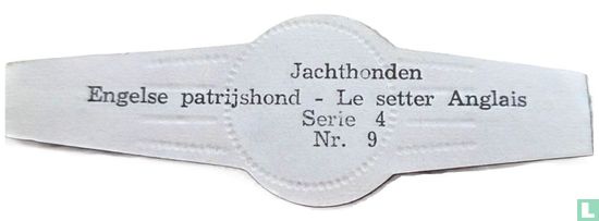 Engelse patrijshond - Bild 2